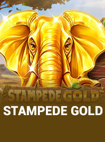 Stampede Gold Game 2026: Fitur Unggulan dan Review game cover